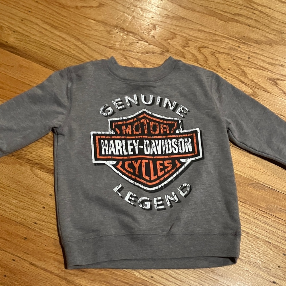 Harley-Davidson Gray Kids Sweatshirt 3T